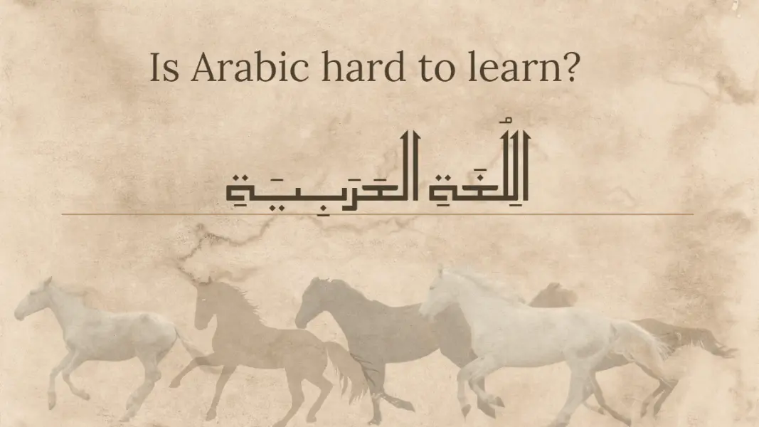 is the arabic language hard to learn​