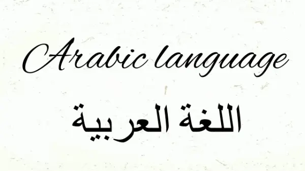 how many words in arabic language